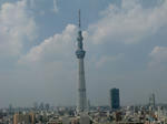 CIMG0148.jpg