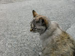CIMG0455.JPG