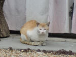 CIMG0445.JPG