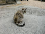 CIMG0456.JPG