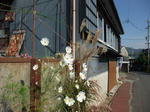 b0f54221.JPG