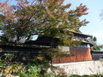 9a3f9329.JPG
