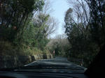 36b1a98d.JPG