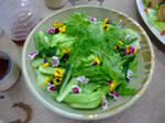 24e63856.JPG