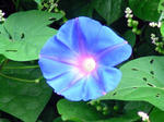 PICT0001.jpg