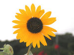PICT0004.jpg