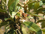PICT0001.JPG