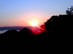 NEC_0060.JPG