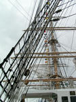 PICT0041.JPG