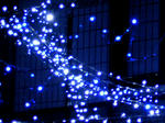 PICT0009.JPG