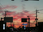 PICT0050.jpg