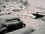 PICT0003.jpg