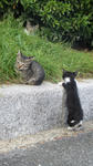 DSCF1555.JPG