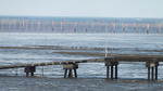 DSCF1560.JPG