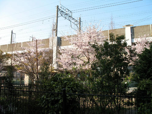 8f843748.JPG