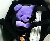 201001092309000.jpg