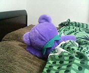 201001110355000.jpg