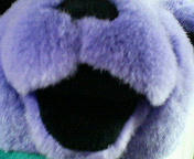 201002032300000.jpg