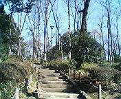 201002071404000.jpg