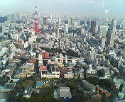 201002091551000.jpg