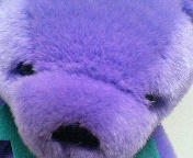 201003082155000.jpg