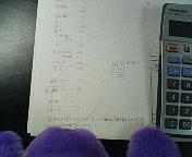 201003112345000.jpg