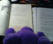 201003282331000.jpg