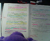 201003310006000.jpg