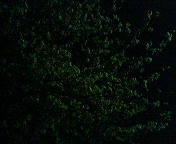 201004012317000.jpg