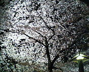 201004022118000.jpg