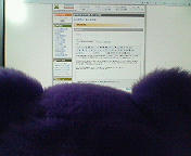 201004232344000.jpg