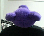 201004282253000.jpg