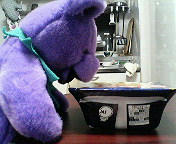 201005092135000.jpg