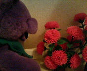 201005242349000.jpg