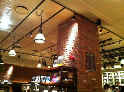 2010111701.JPG
