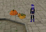 mabinogi_2008_11_05_004.jpg