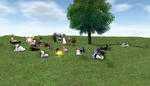 mabinogi_2009_02_07_003.jpg