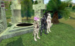 mabinogi_2009_04_05_002.jpg