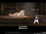 mabinogi_2009_05_06_010.jpg