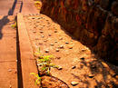 P1070160-01.jpg