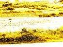 P1070465-01.jpg