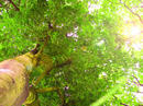 P1070613-01.jpg