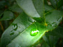 050f8f43.jpg