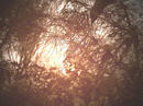 aP1080055.jpg