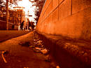 aP1080079.jpg