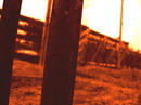 aP1080080.jpg