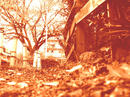 aP1080086.jpg