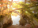 10P1080277.jpg