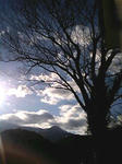 66f05552.jpg