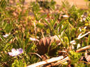 c2794936.jpg